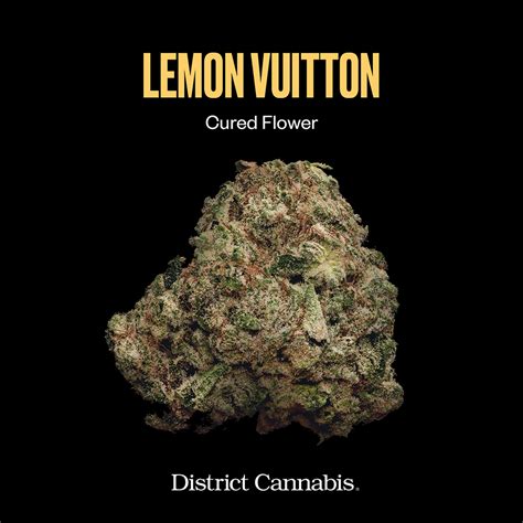 lemon vuitton strain ingredients.